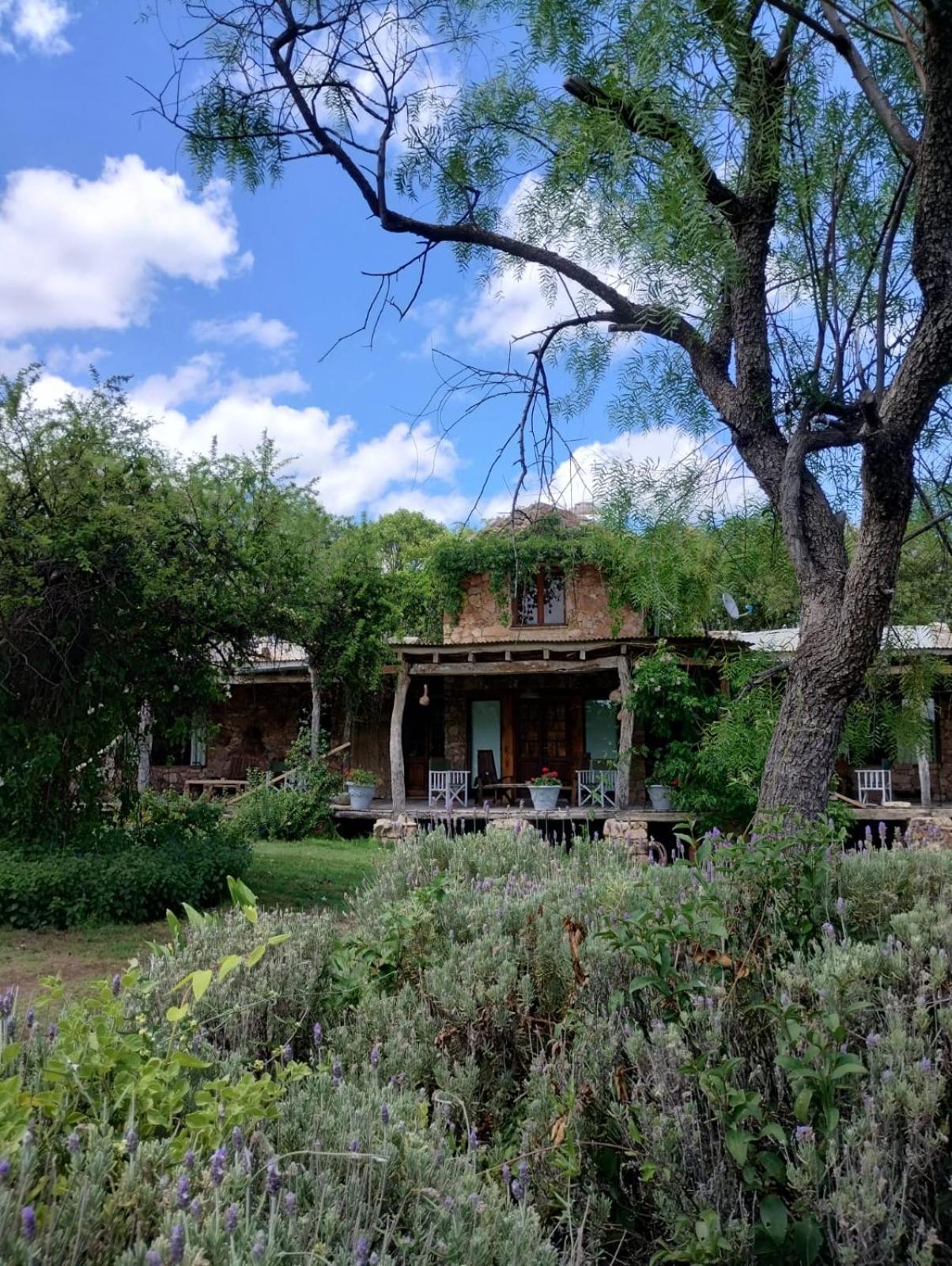 Las Jarillas Hosteria & Bodega Hotel San Javier  Exterior photo