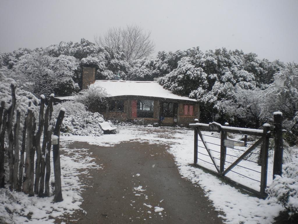 Las Jarillas Hosteria & Bodega Hotel San Javier  Exterior photo